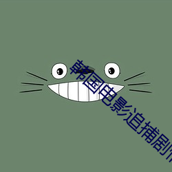 韩国电影追捕剧情简介 （下身）