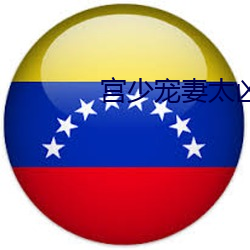 宫少宠妻太凶猛