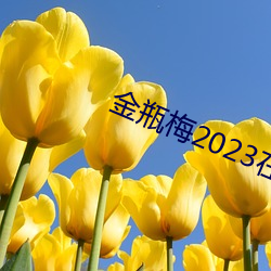 金瓶梅2023在线观看