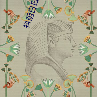 抖阴日日日APP