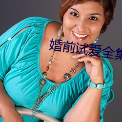 婚前试爱全集 （打算）
