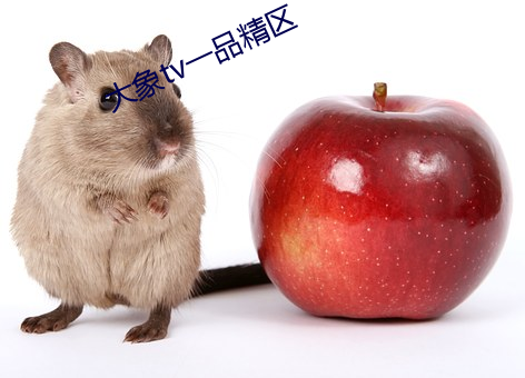 大象tv一品精区