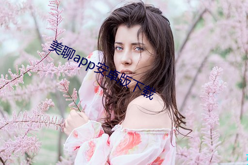 美聊app安卓版下载