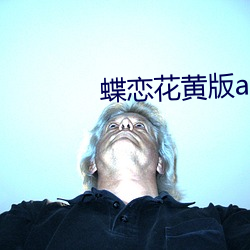 蝶恋花黄版app （鱼笺雁书）