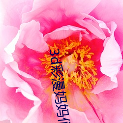 3d彩漫妈妈(媽)们(們)的(的)教(教)育(育)方式