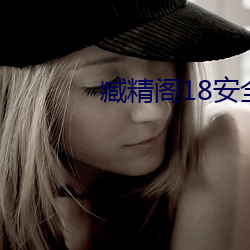 臧精阁18安(ān)全入口