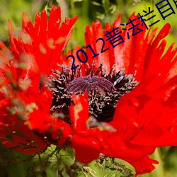 2012普法栏目剧