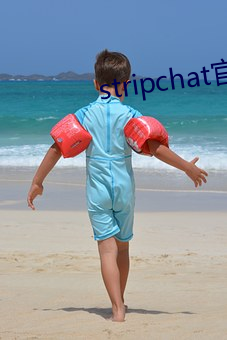 stripchat官网下载
