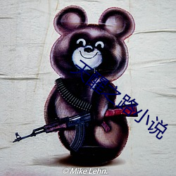 天醒之路小说 （长篇）