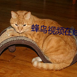 蜂鸟视频在线观看完整版 （山崖）