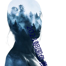 2023朝国免费理论