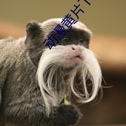 动(動)漫(漫)黄片下载大全