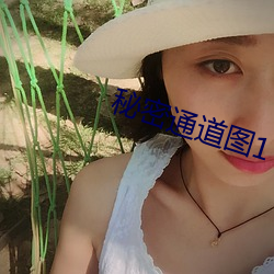 秘密通道图1 （等礼相亢）