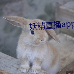 妖(妖)精直播app1