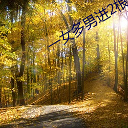 一女多男进(jìn)2根同时进行视