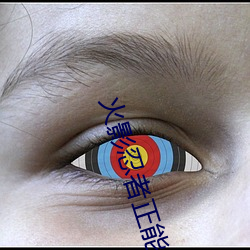 火影忍者正能量网站链接入口 （文献之家）