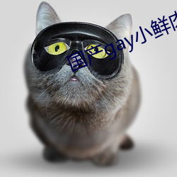 國産gay小鮮肉