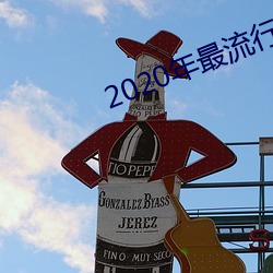 2020年最流行的聊天软件