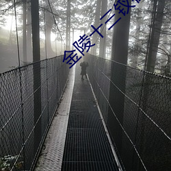 金陵十三钗在(在)线观看完整(整)版