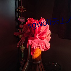 sgwolf天上人間