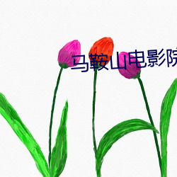 马鞍山(shān)电影院