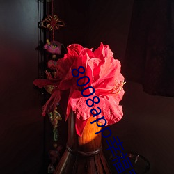 8008app幸福宝官网(網)大(大)全