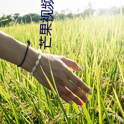 芒果視頻成年app