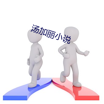 汤加丽小说 （千里寄鹅毛）