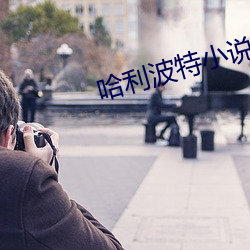 哈利波特小说