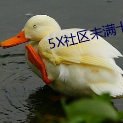 5X社区未满十八岁周岁不得 （鱼鼓）