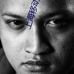 ezweb易利娱乐平台(唯一)官网登录入口