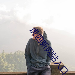 虎四新网站入口