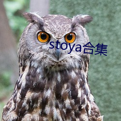 stoyaϼ Ҳࣩ