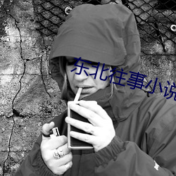 东北(北)往事小说(說)