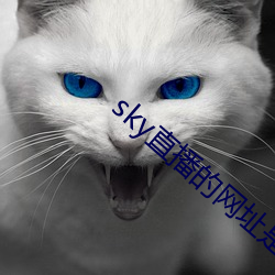 sky直播的網址是多少