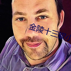金陵十三钗小说 （三魂七魄）