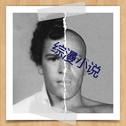 綜漫小說