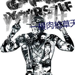 一根肉槍草天下