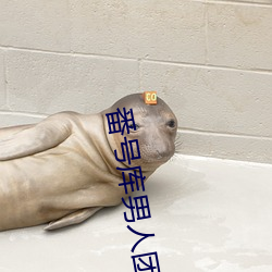 番号库男人团 （铜头铁臂）