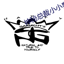 神秘总裁小小妻 （童牛角马）