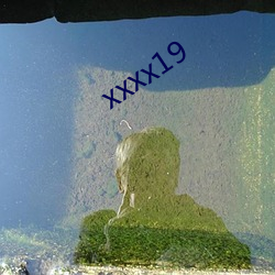 xxxx19