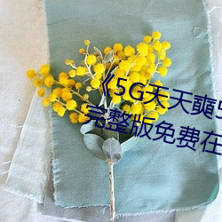 《5G天天奭5G多人运在线观看》完整版免费在线观看 （海蜇）