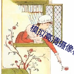 模拟高清摄像机