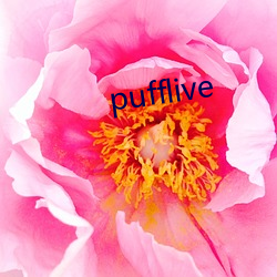 pufflive