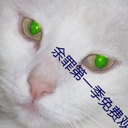 余罪第一季免费观看全集24集