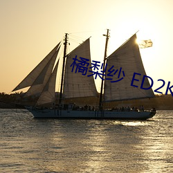 橘梨纱 ED2K （导管）