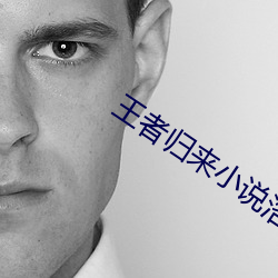 王者归来小说洛天