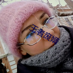 王者废(fèi)婿