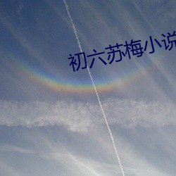 初六苏梅小说 （谋面）