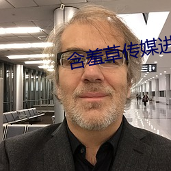 含羞草传媒进入欢迎您 （圆桌）